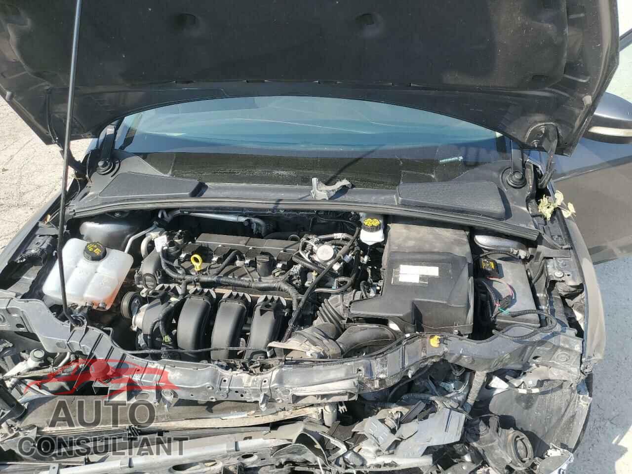 FORD FOCUS 2017 - 1FADP3F23HL328794