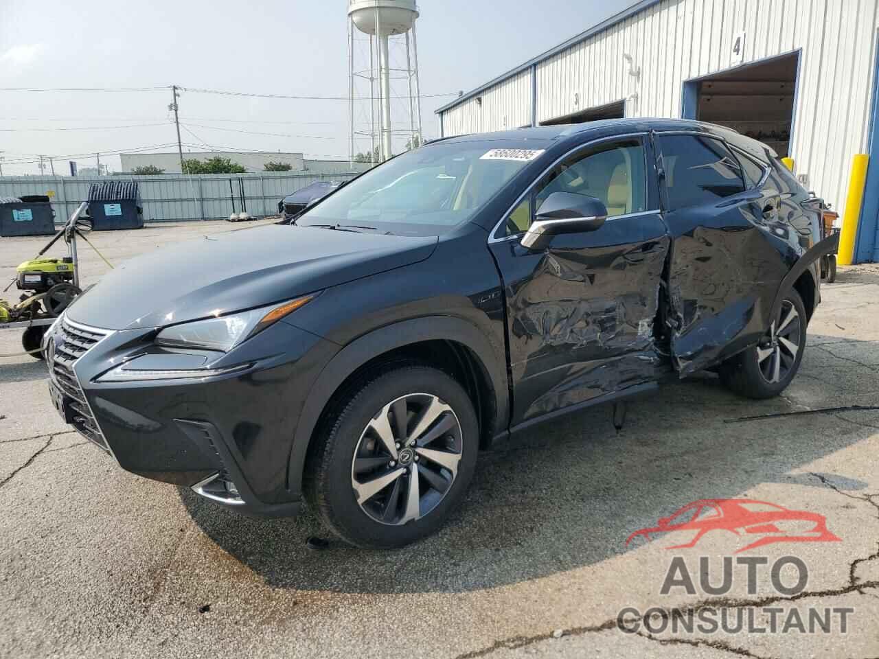 LEXUS NX 2019 - JTJBARBZ1K2210620