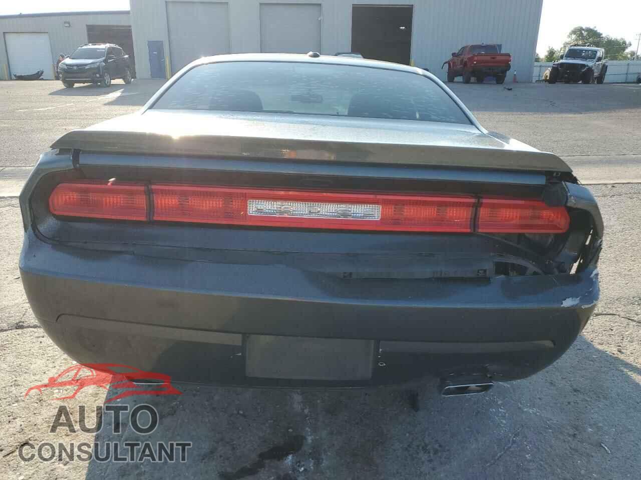 DODGE CHALLENGER 2014 - 2C3CDYAG0EH176369