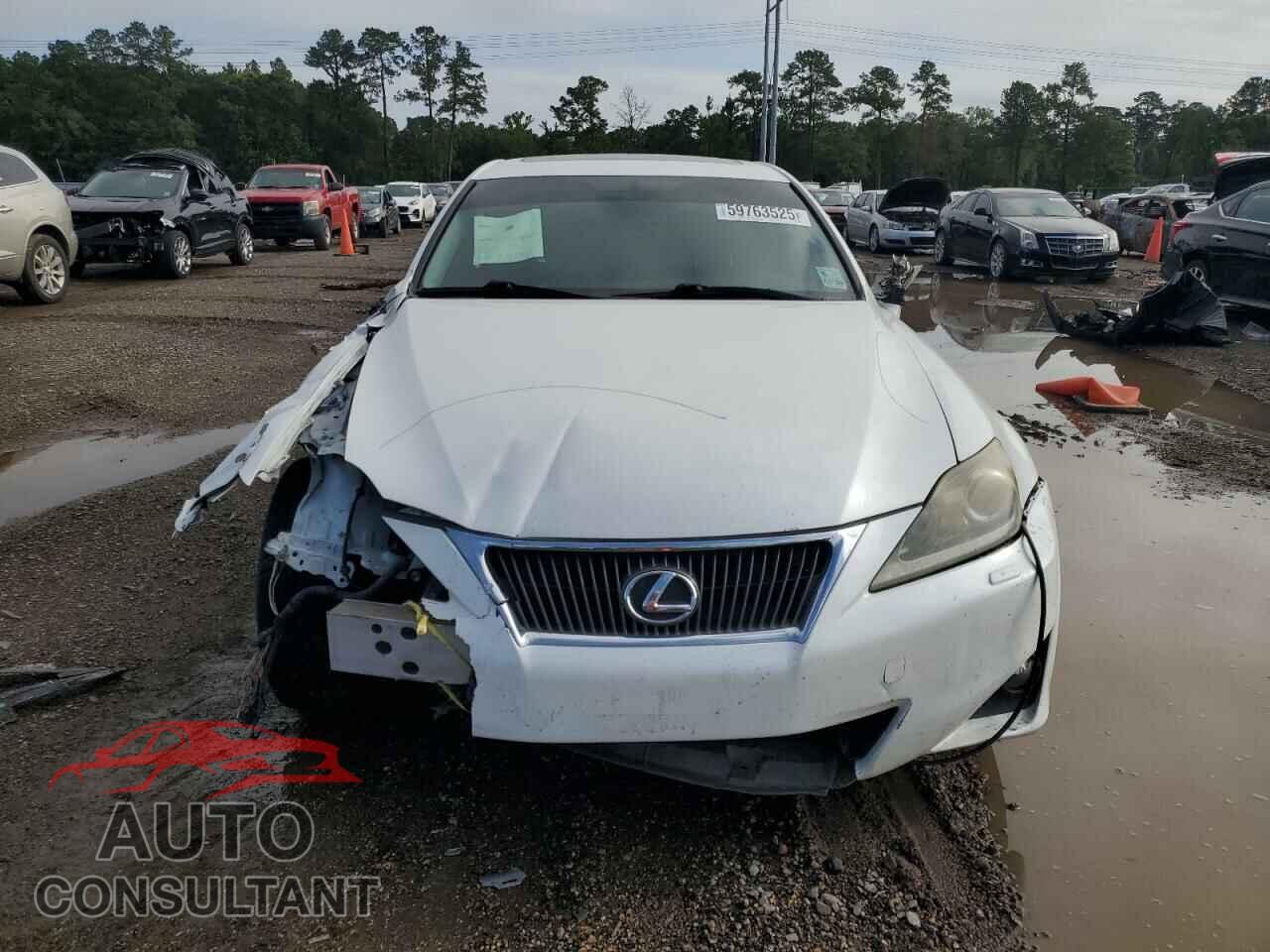 LEXUS IS 2012 - JTHBE5C26C5029741