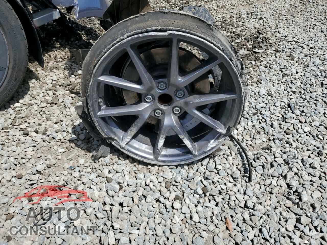 TESLA MODEL 3 2021 - 5YJ3E1EA3MF922338