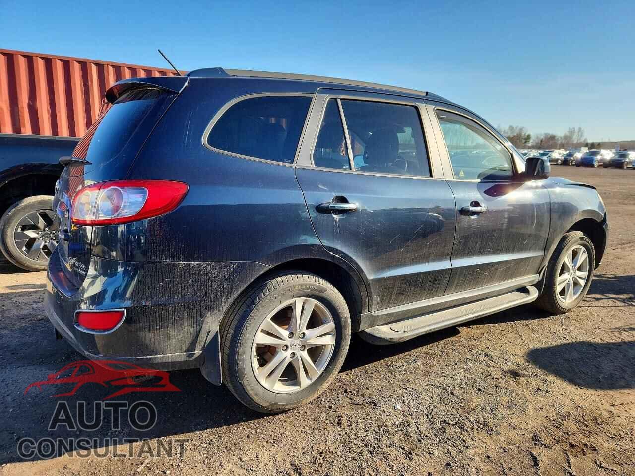 HYUNDAI SANTA FE 2010 - 5NMSHDAG6AH417239