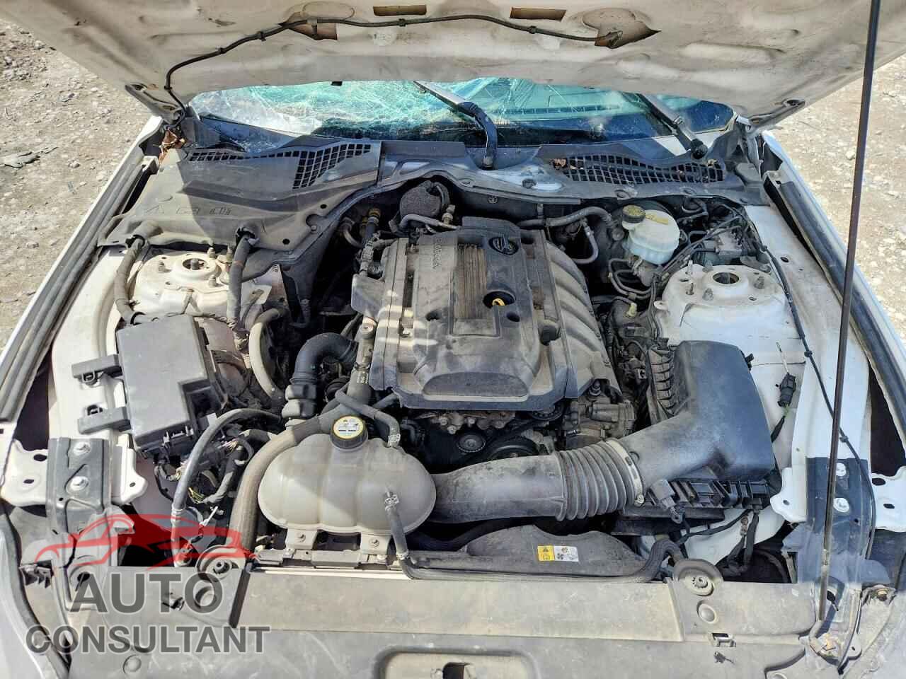 FORD MUSTANG 2015 - 1FA6P8TH0F5356486