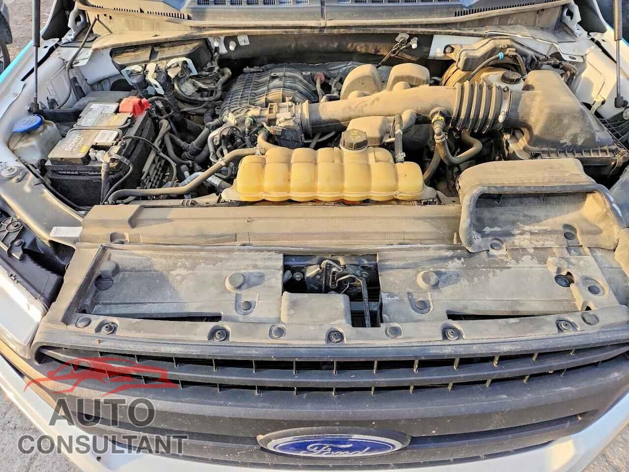FORD All Models 2020 - 1FTMF1EB8LKD65163