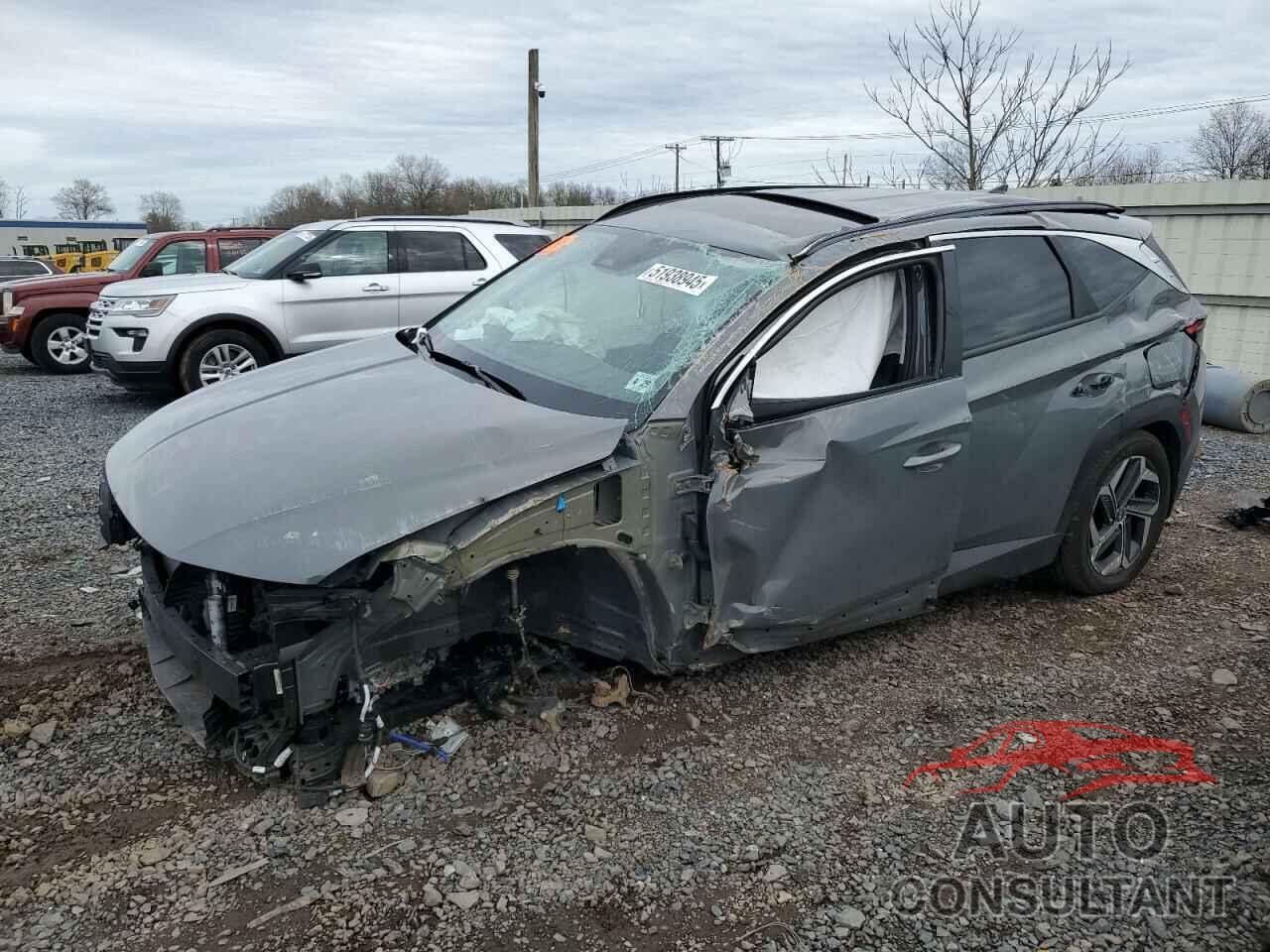 HYUNDAI TUCSON 2024 - 5NMJFCDE7RH414061