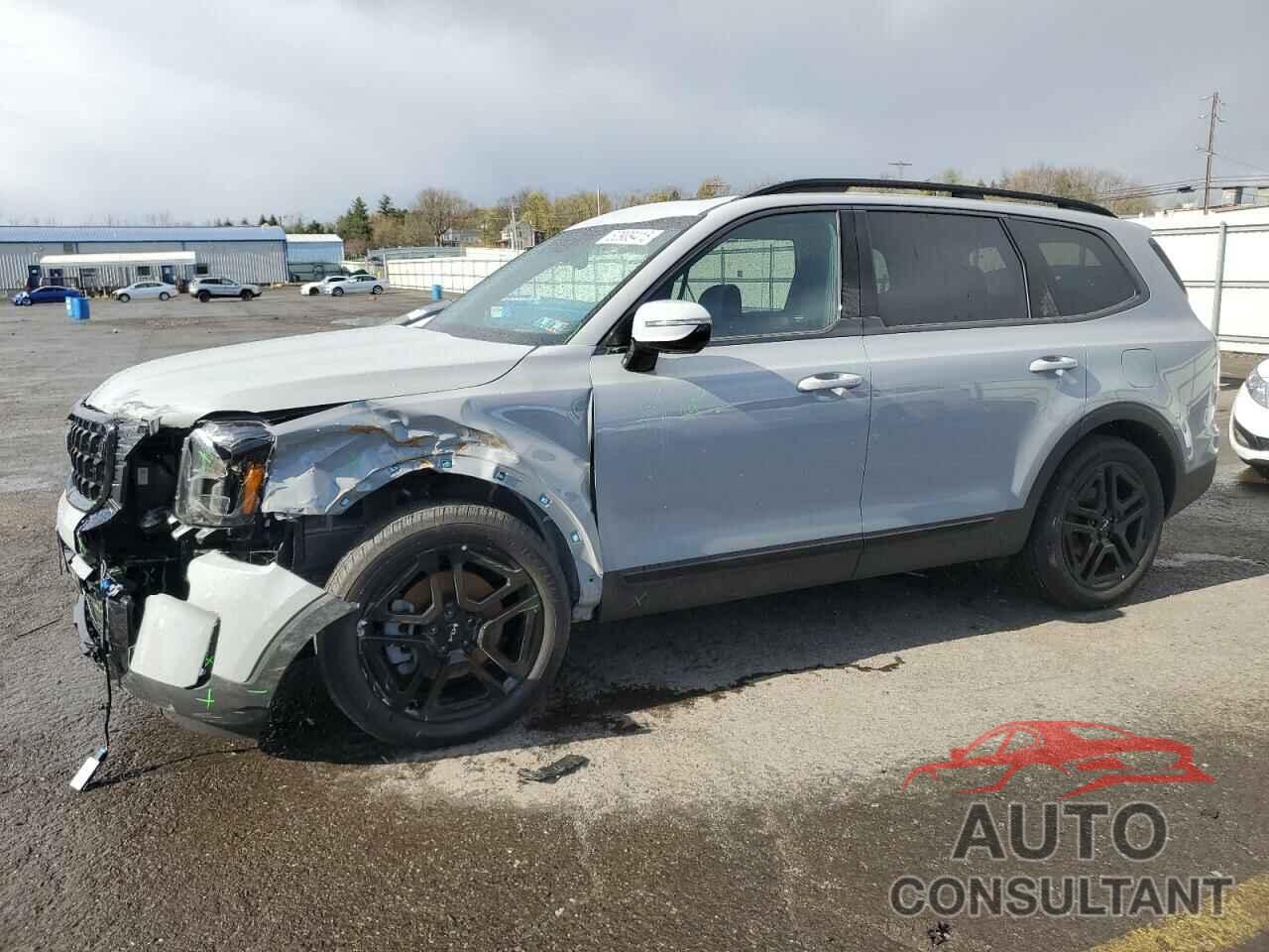 KIA TELLURIDE 2024 - 5XYP5DGC2RG559581