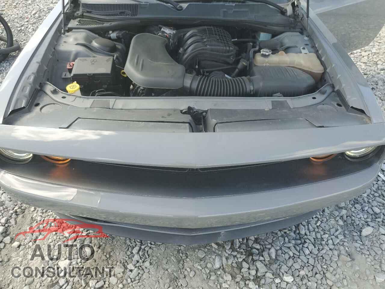 DODGE CHALLENGER 2019 - 2C3CDZAG3KH551334