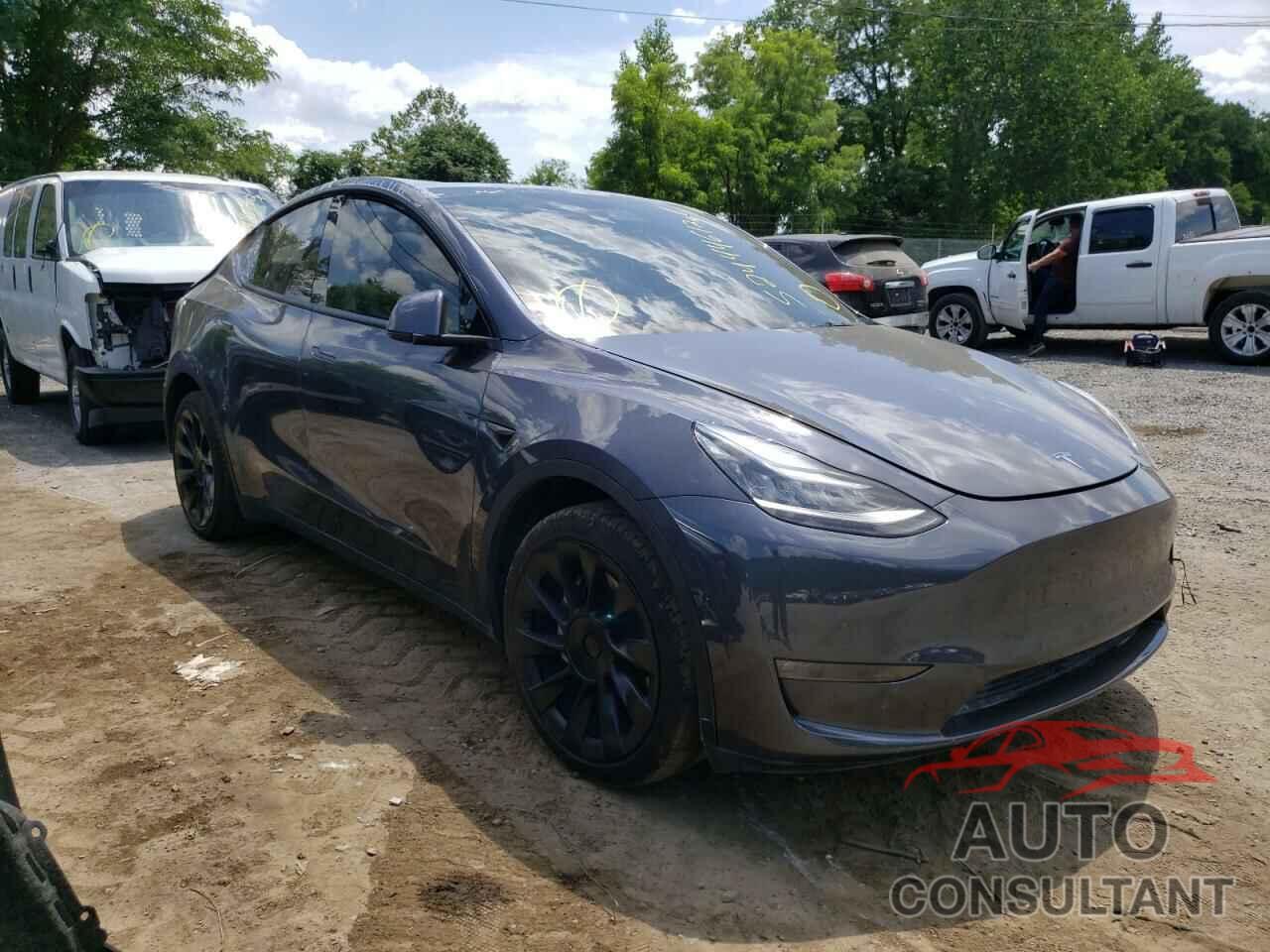 TESLA MODEL Y 2021 - 5YJYGDEE5MF115324
