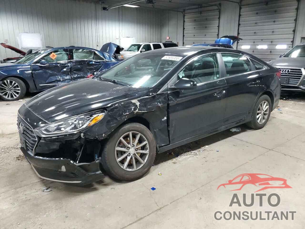 HYUNDAI SONATA 2019 - 5NPE24AF5KH755242