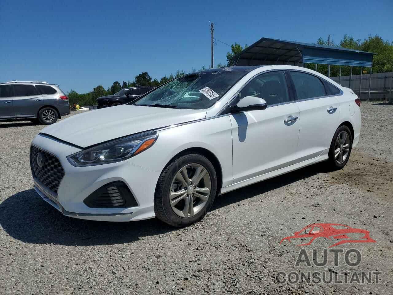 HYUNDAI SONATA 2019 - 5NPE34AF6KH753674
