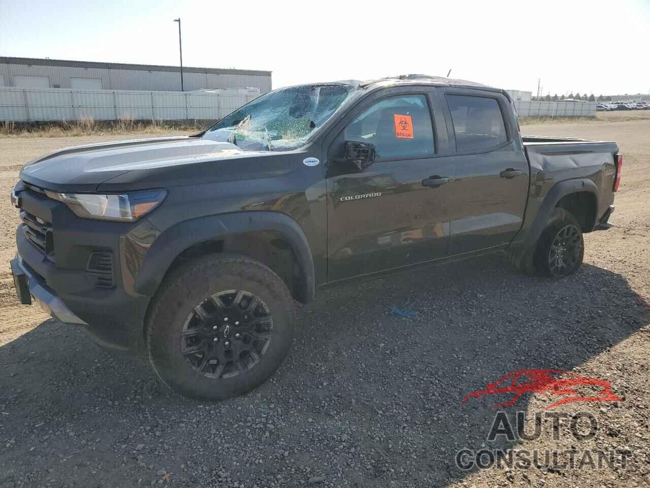 CHEVROLET COLORADO T 2024 - 1GCPTEEK5R1309953
