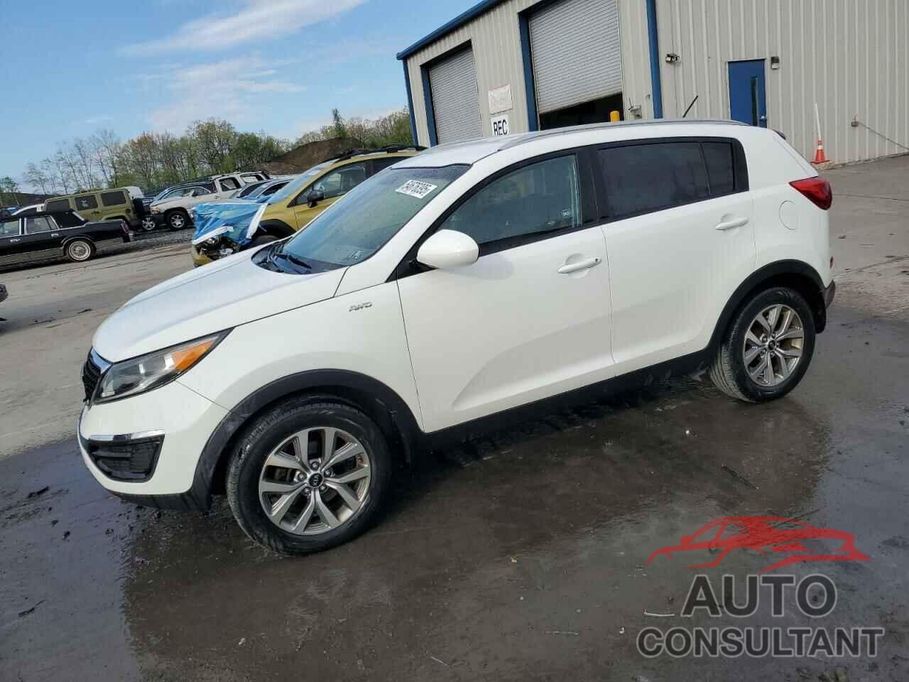 KIA SPORTAGE 2016 - KNDPBCAC3G7854565