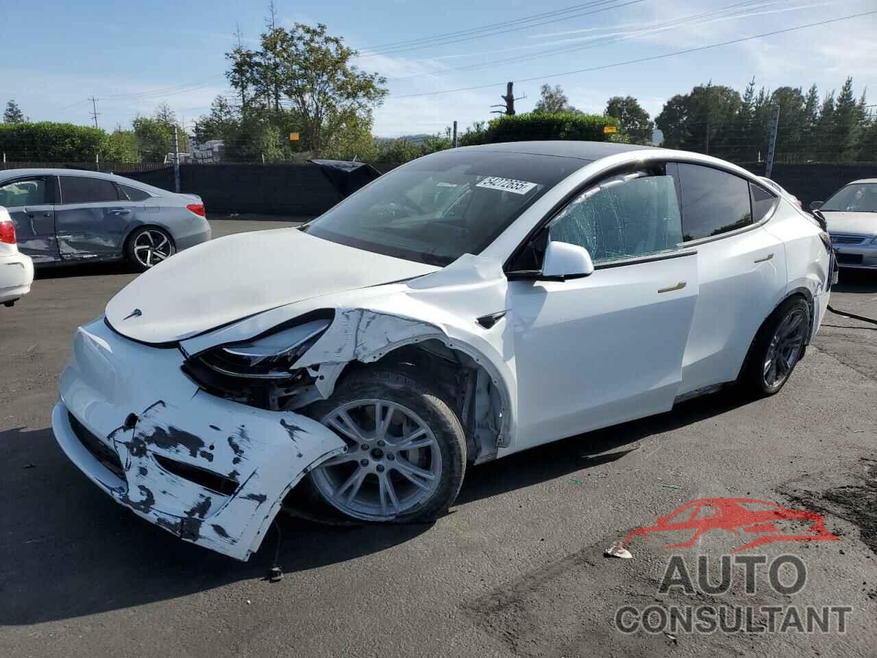 TESLA MODEL Y 2021 - 5YJYGAEE1MF305491