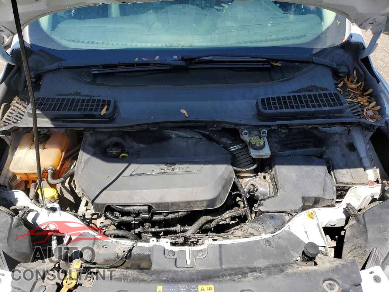 FORD ESCAPE 2014 - 1FMCU0GX3EUB43069
