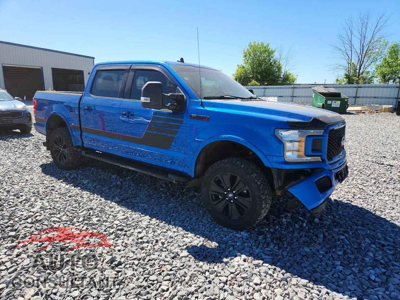 FORD F150 2019 - 1FTEW1E40KFB13596