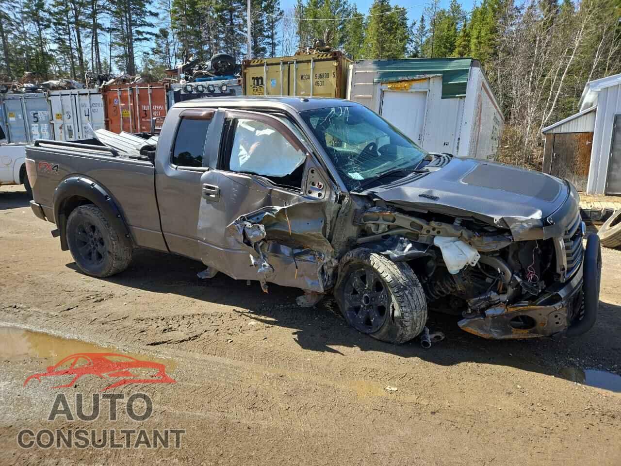 FORD F-150 2012 - 1FTFX1EF0CFC43253