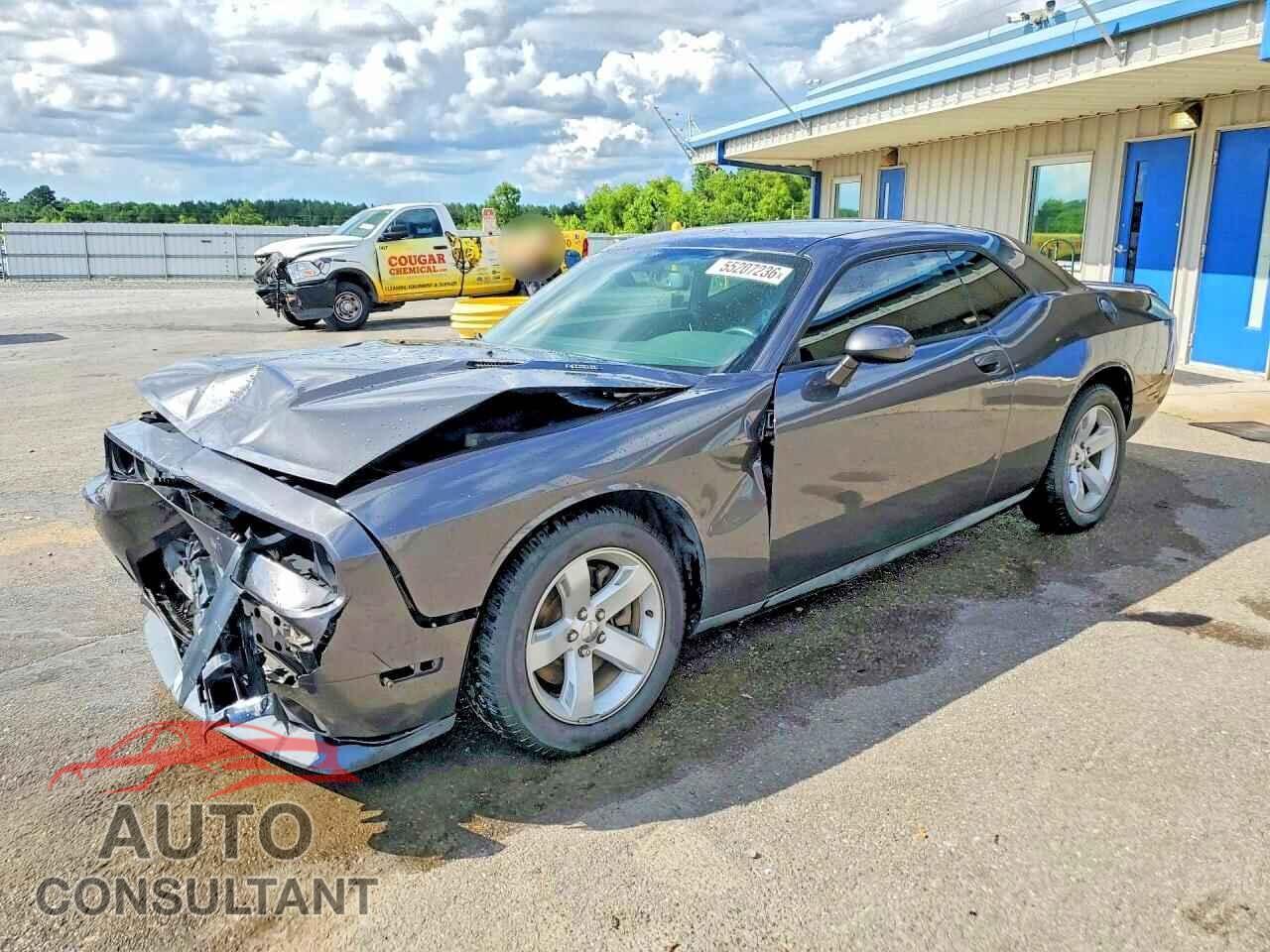 DODGE CHALLENGER 2014 - 2C3CDYBT4EH214391