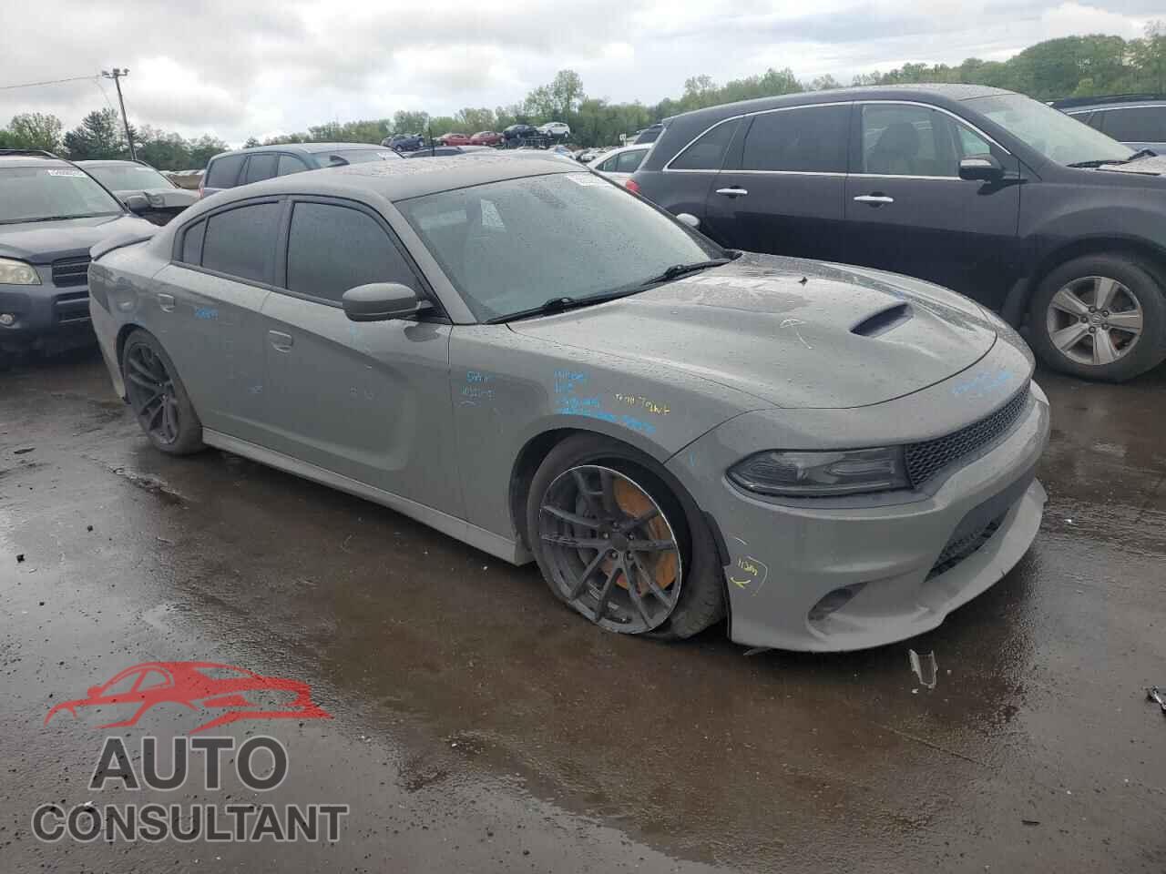 DODGE CHARGER 2017 - 2C3CDXGJ6HH589737