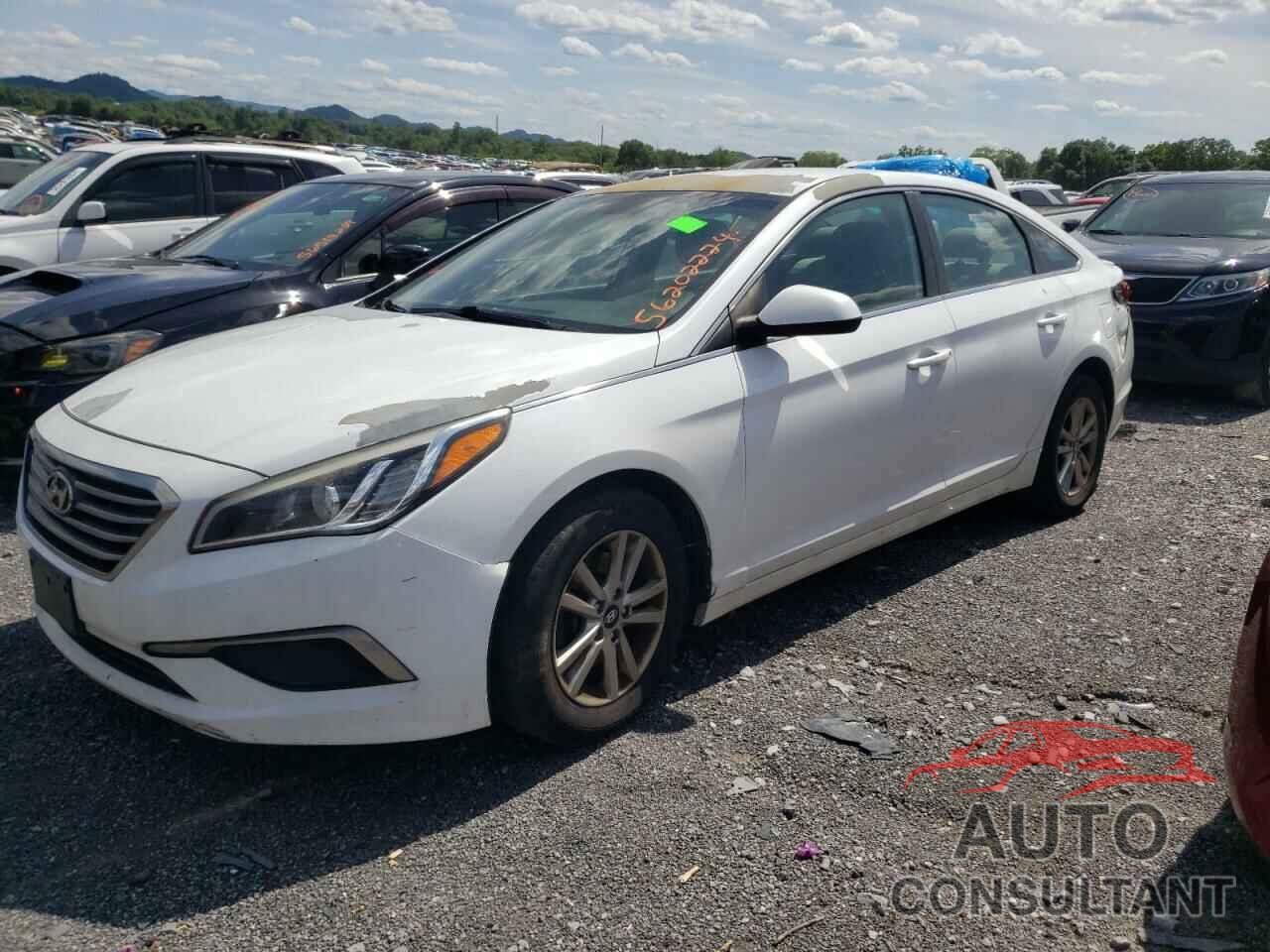 HYUNDAI SONATA 2017 - 5NPE24AF4HH452364