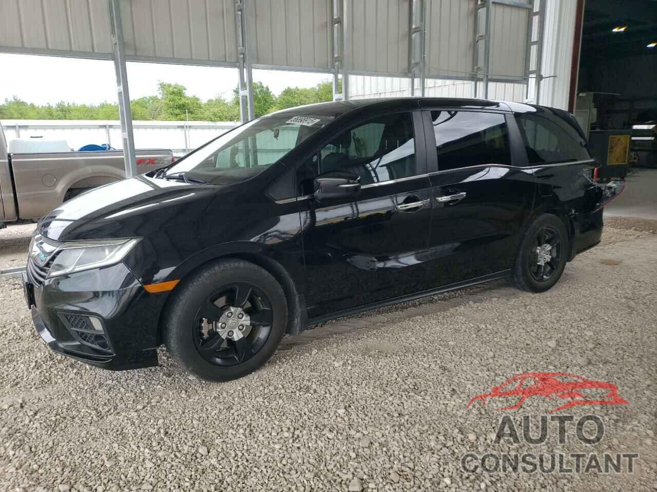 HONDA All Models 2019 - 5FNRL6H59KB025131