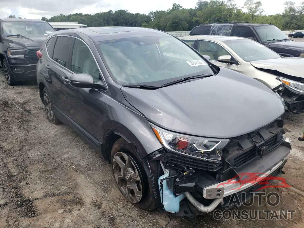 HONDA CRV 2019 - 5J6RW1H84KA013038