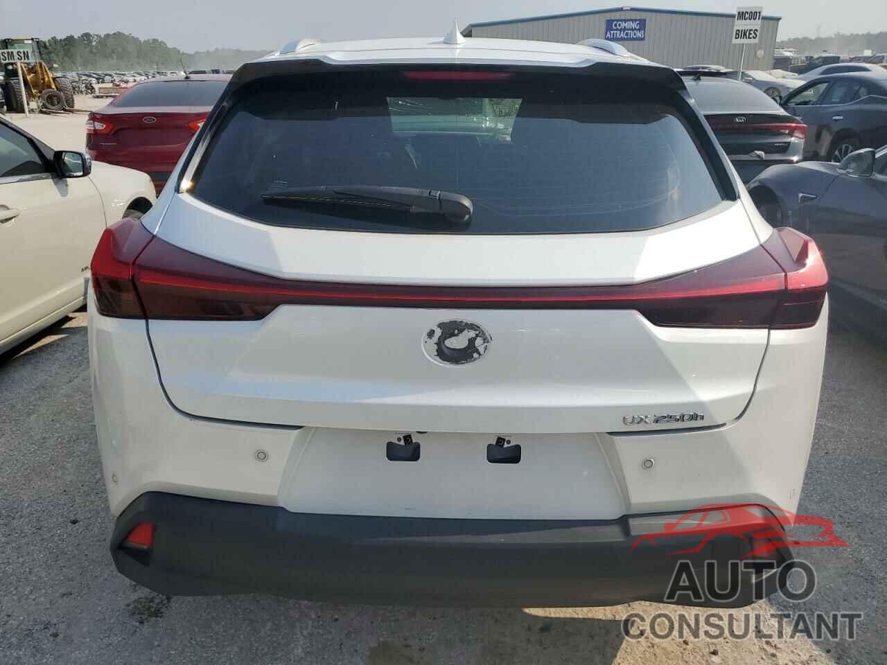 LEXUS UX 250H 2021 - JTHP9JBH5M2051662