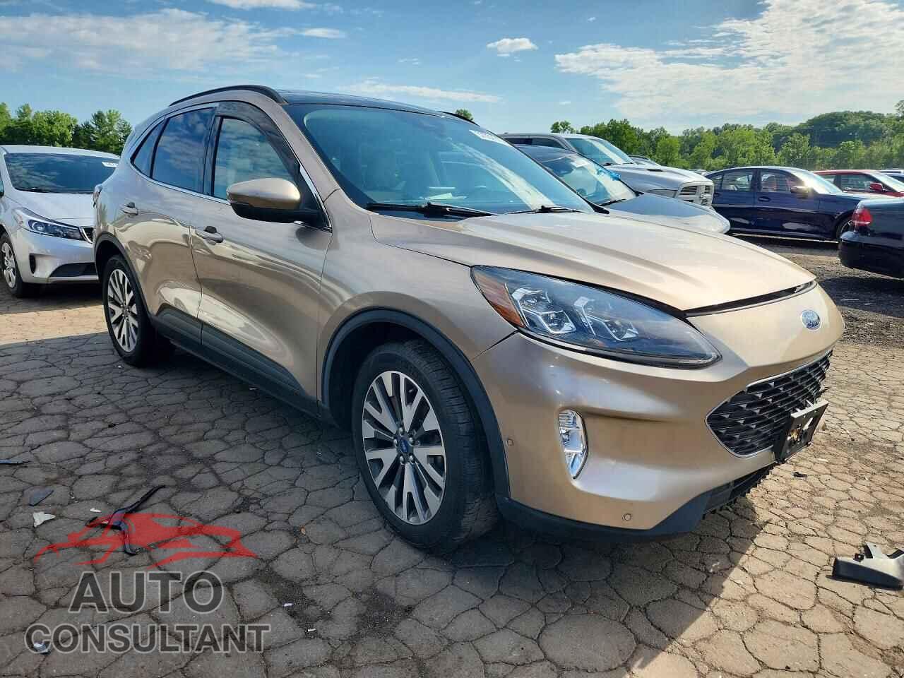 FORD ESCAPE 2020 - 1FMCU9J99LUA64551