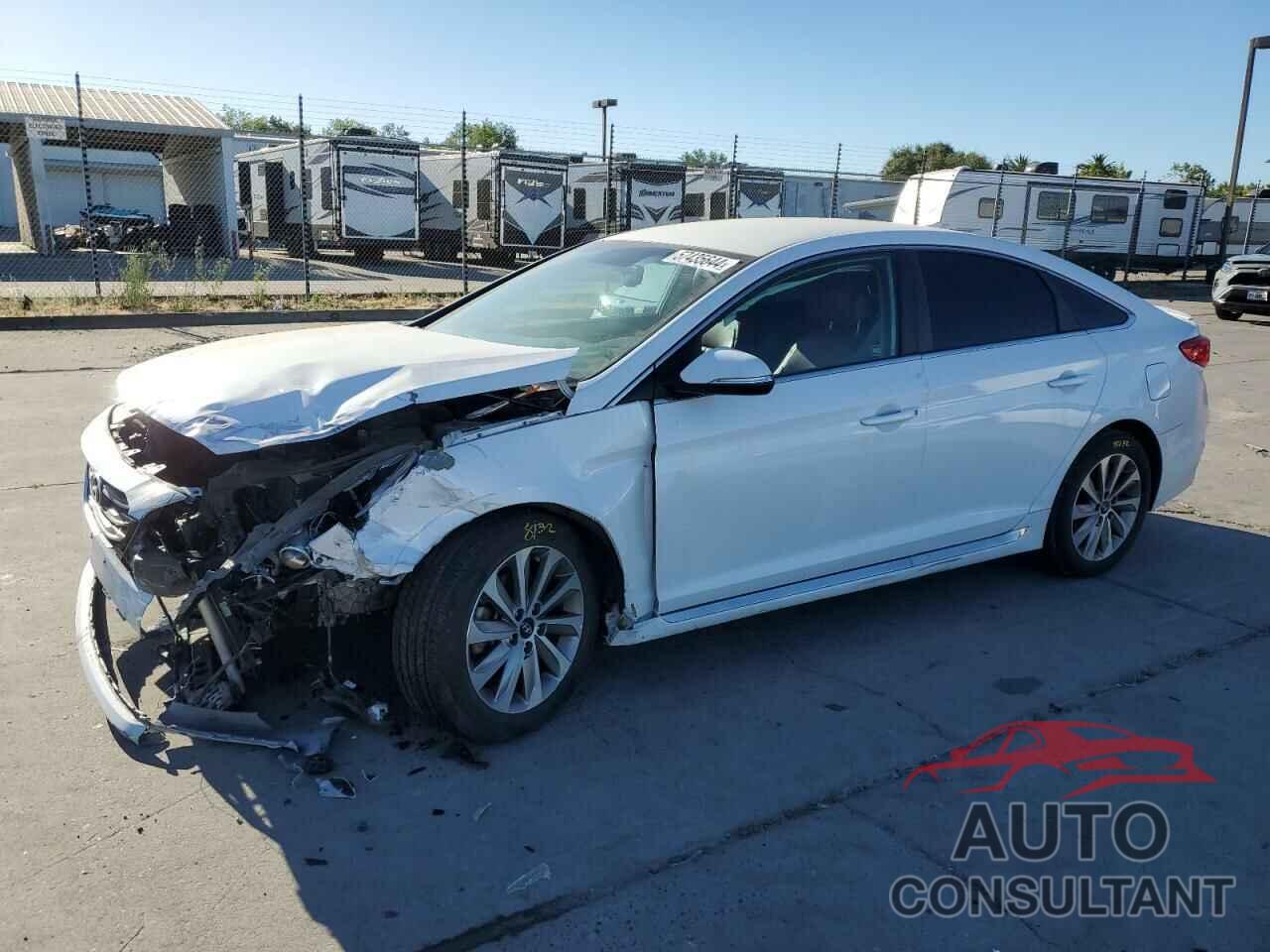 HYUNDAI SONATA 2016 - 5NPE34AF4GH396244