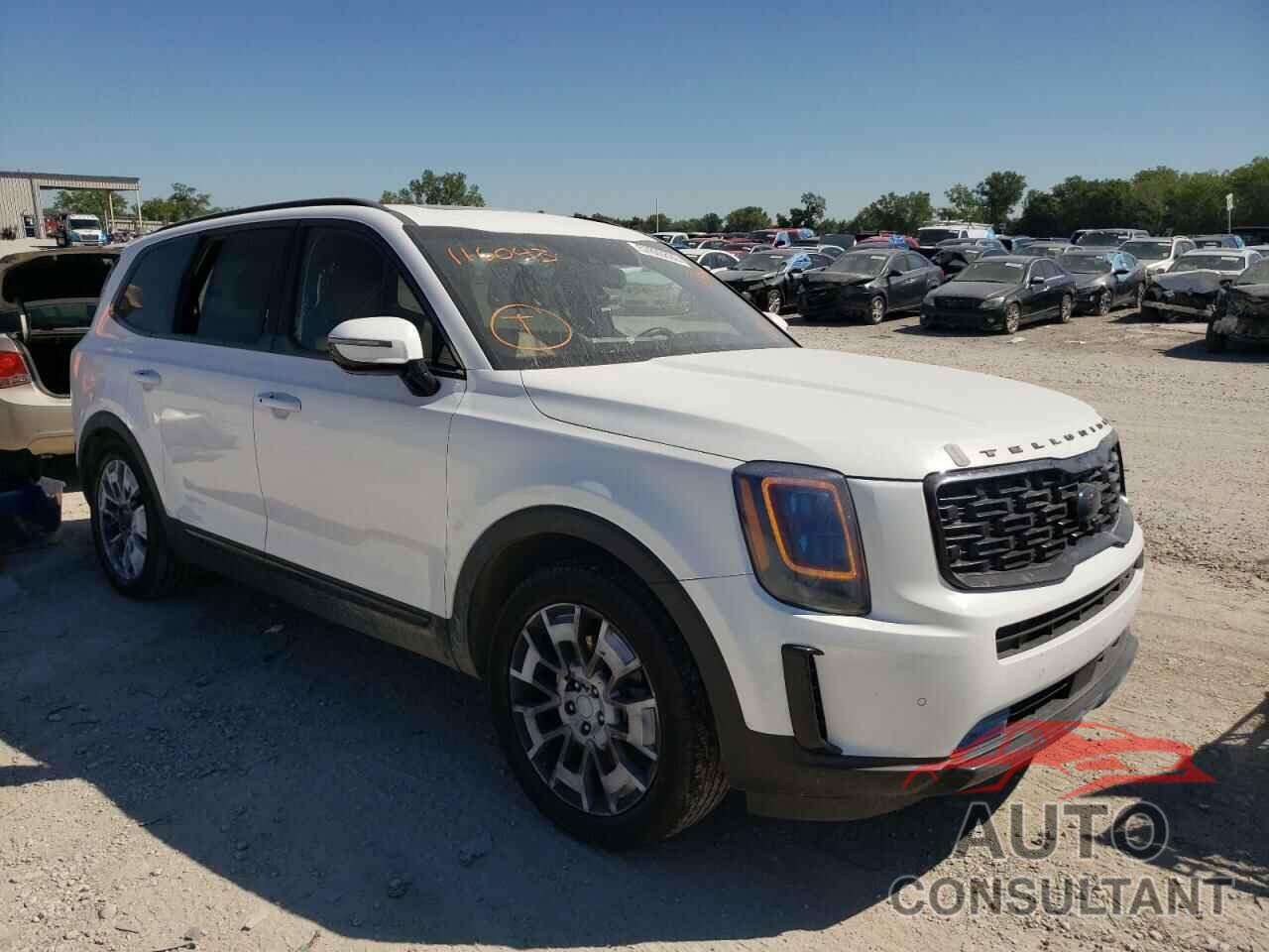 KIA TELLURIDE 2021 - 5XYP5DHC7MG116043