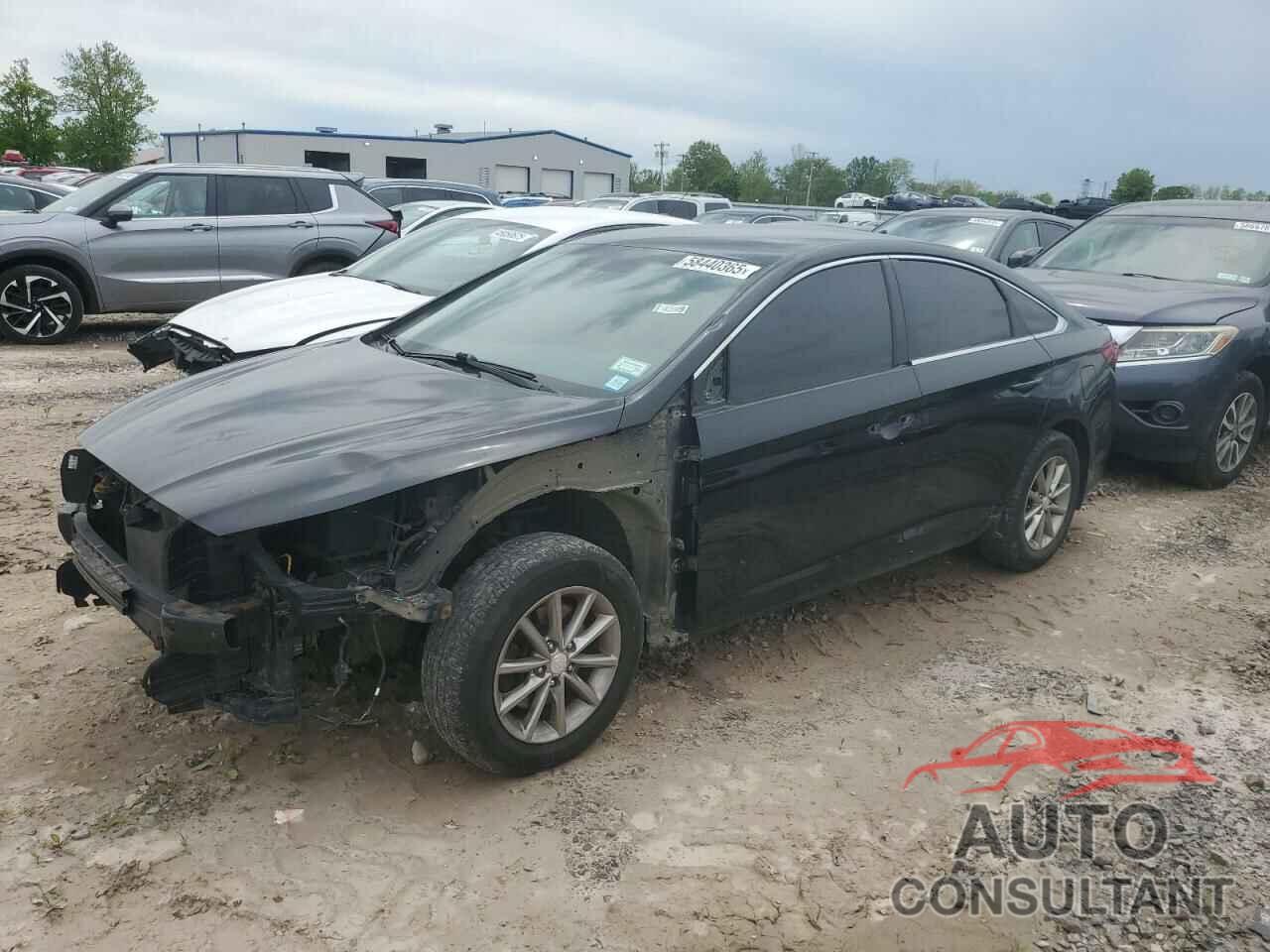 HYUNDAI SONATA 2019 - 5NPE24AF1KH738437