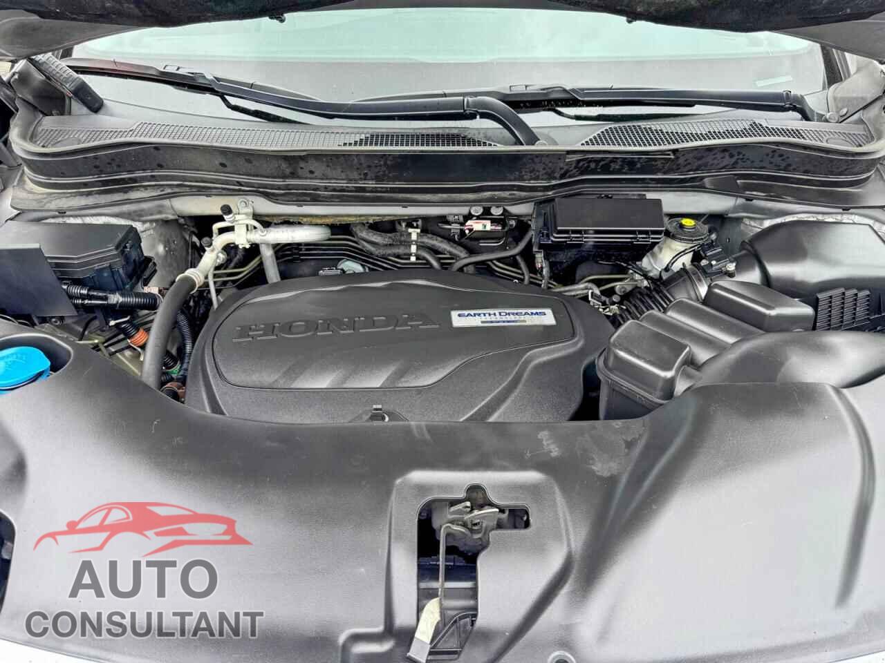 HONDA PILOT 2019 - 5FNYF6H31KB091237