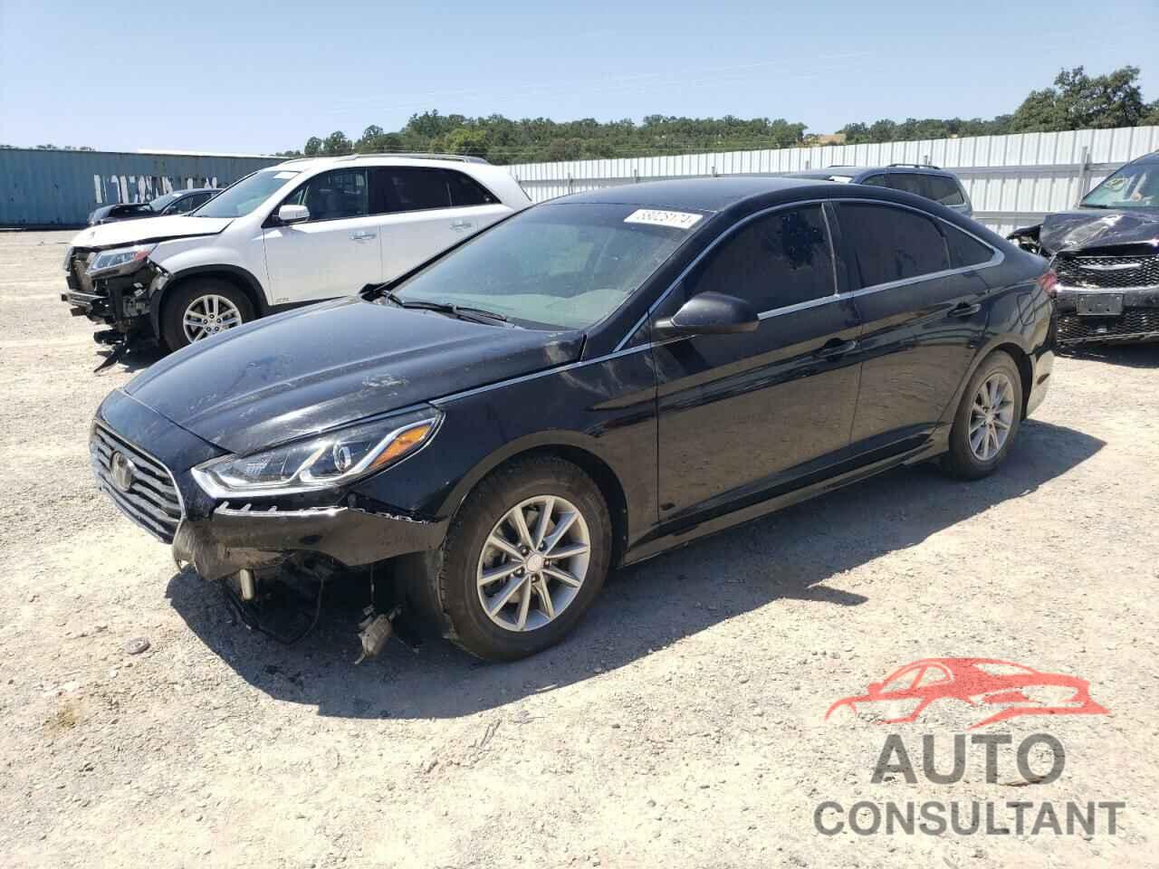 HYUNDAI SONATA 2019 - 5NPE24AF2KH758339