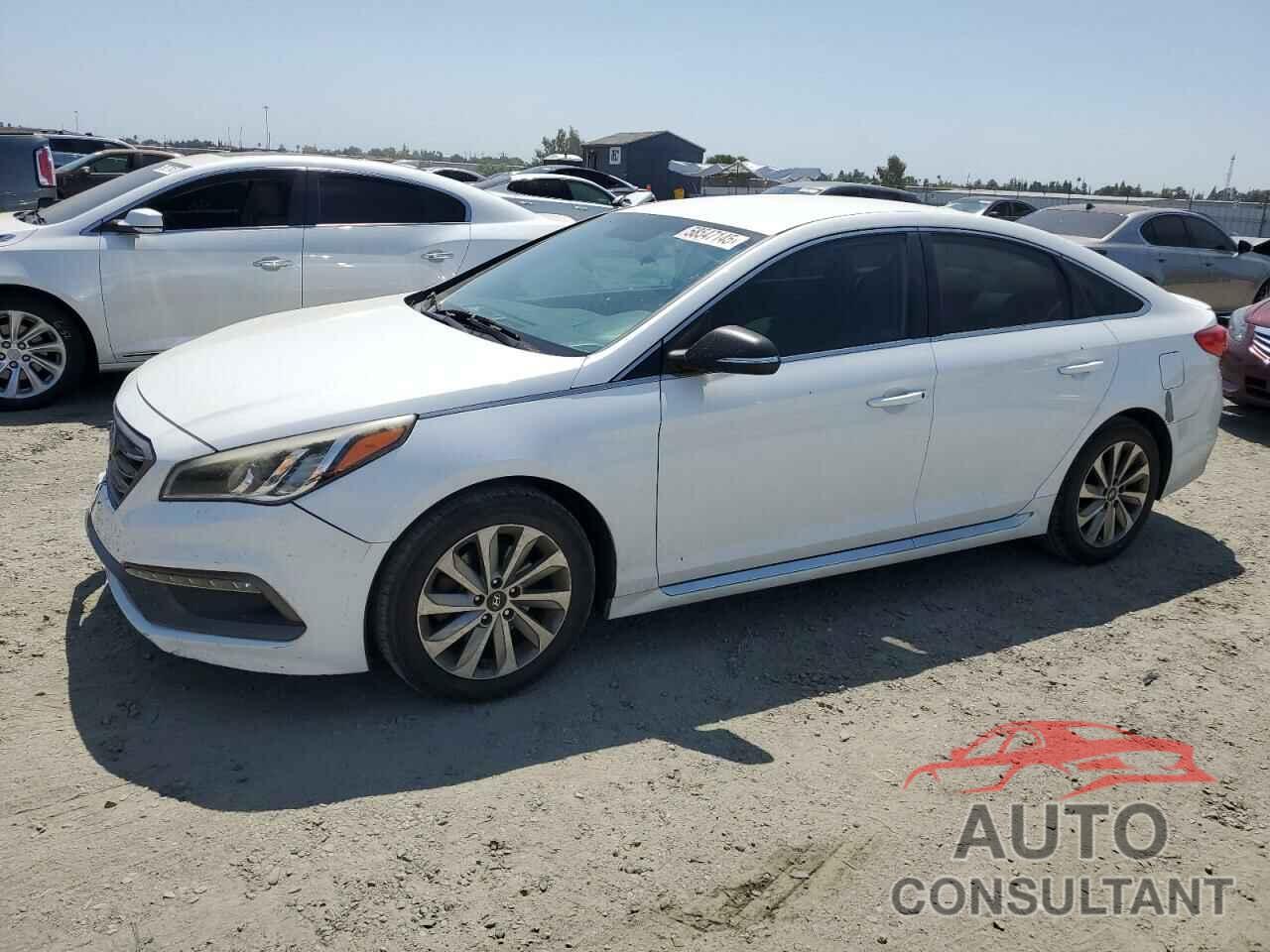 HYUNDAI SONATA 2016 - 5NPE34AF8GH426622