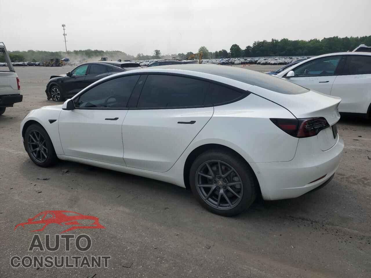 TESLA MODEL 3 2022 - 5YJ3E1EA7NF125978