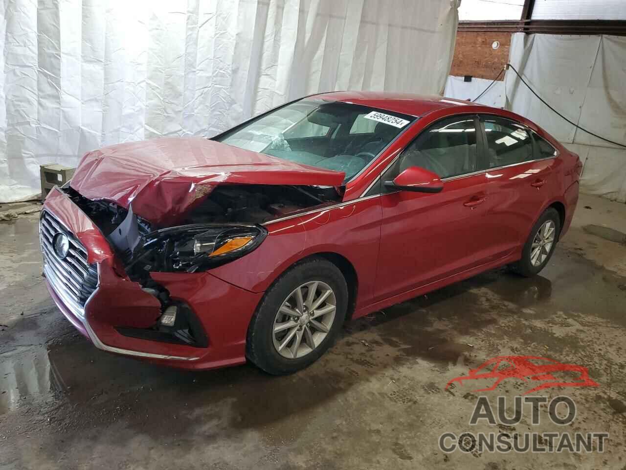 HYUNDAI SONATA 2019 - 5NPE24AF4KH732518