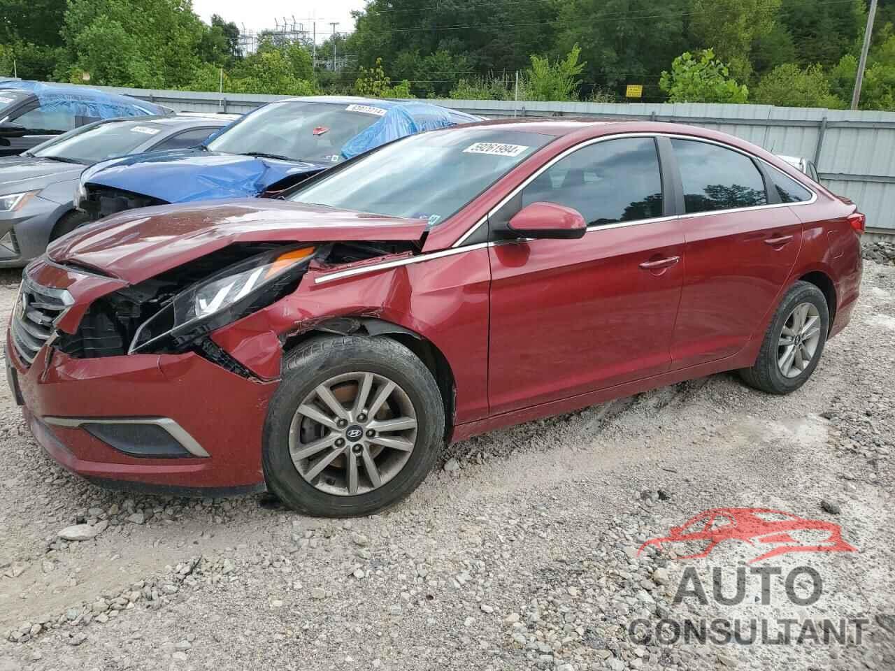 HYUNDAI SONATA 2016 - 5NPE24AF7GH328832