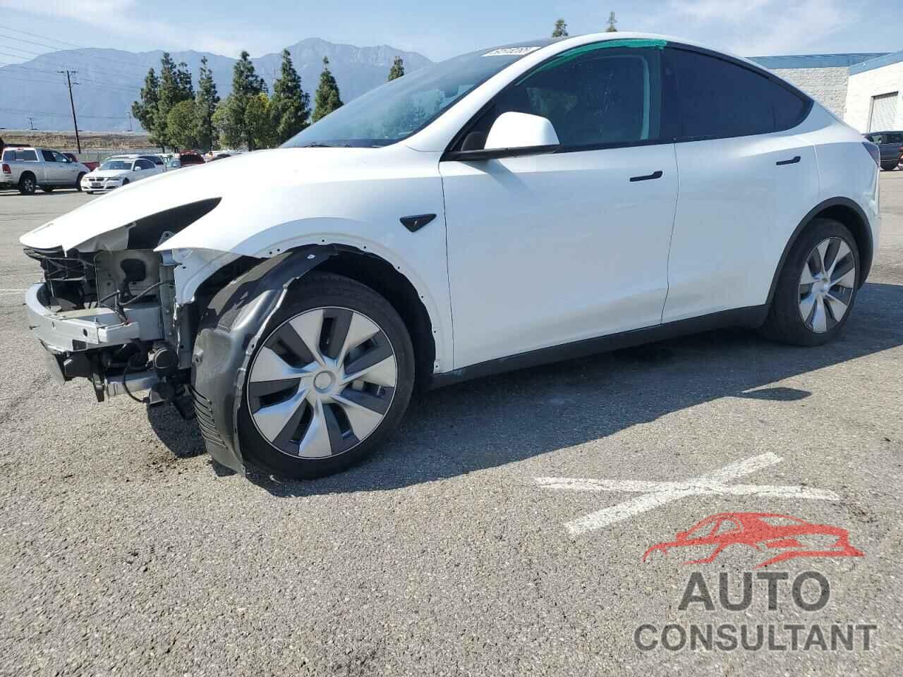 TESLA MODEL Y 2024 - 7SAYGDED1RF002570