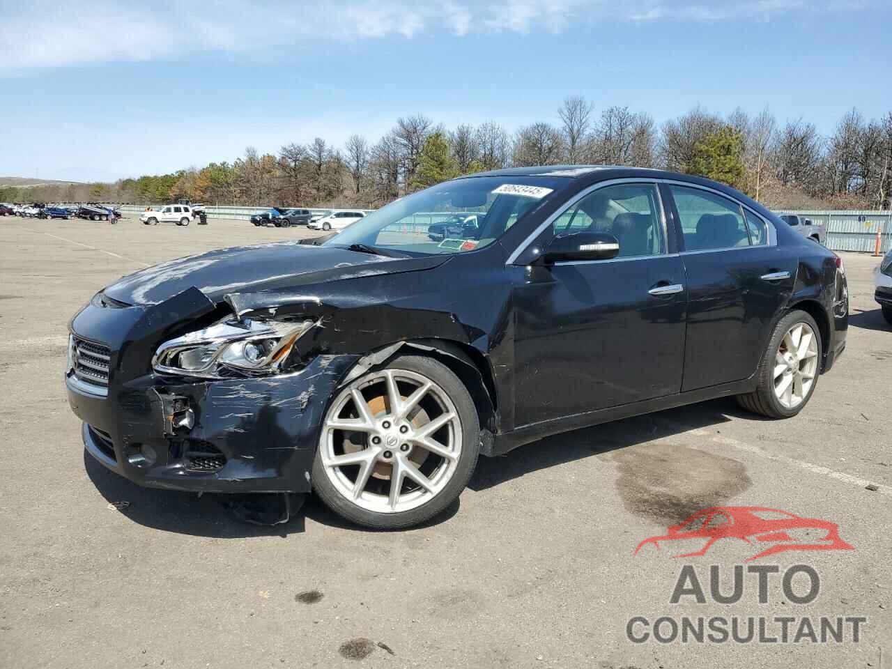 NISSAN MAXIMA 2009 - 1N4AA51E89C851392