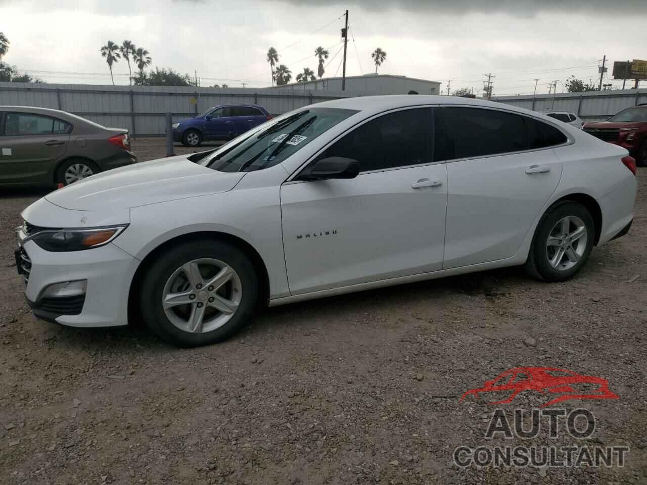 CHEVROLET MALIBU 2019 - 1G1ZB5ST3KF185918