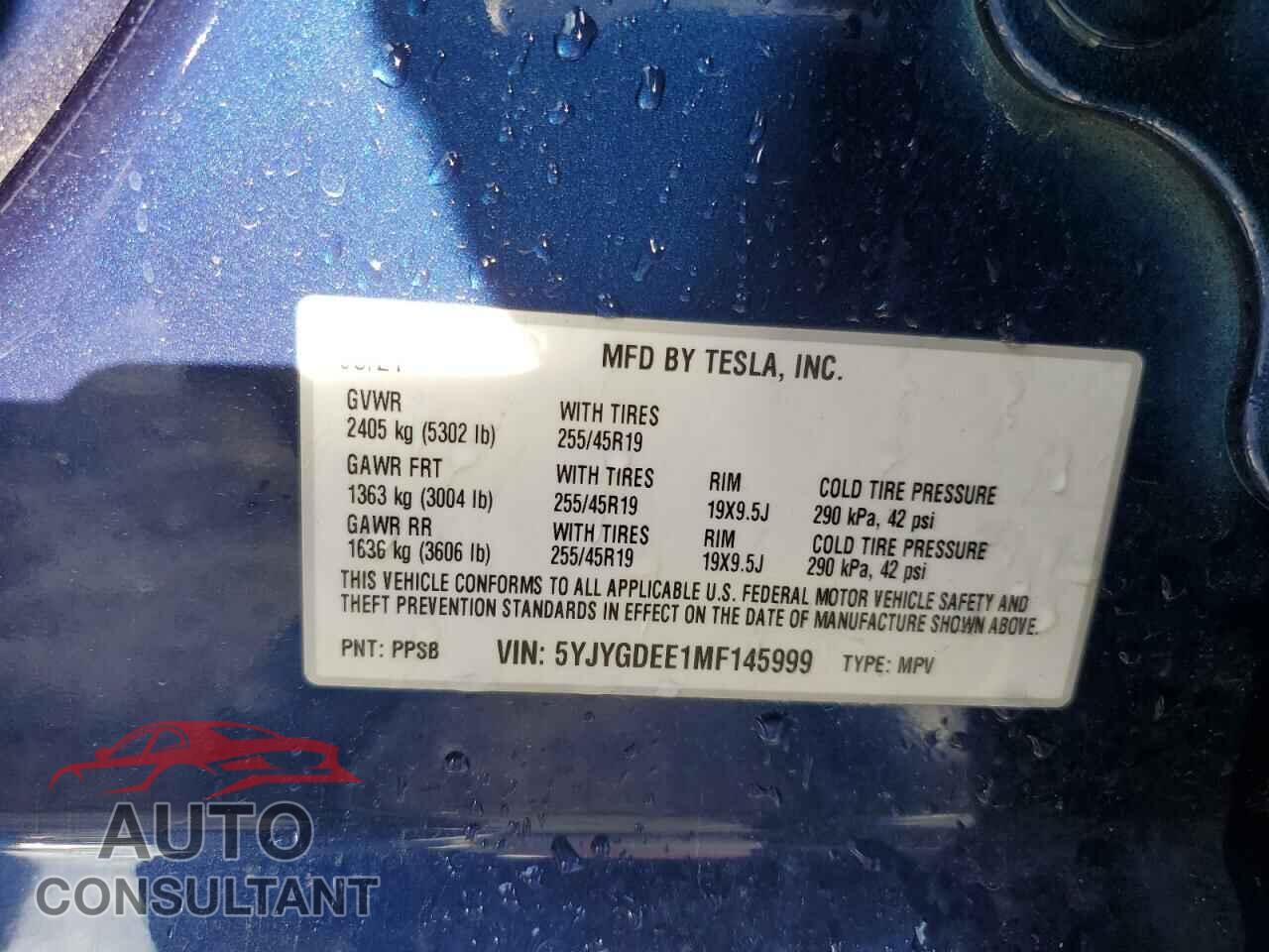 TESLA MODEL Y 2021 - 5YJYGDEE1MF145999