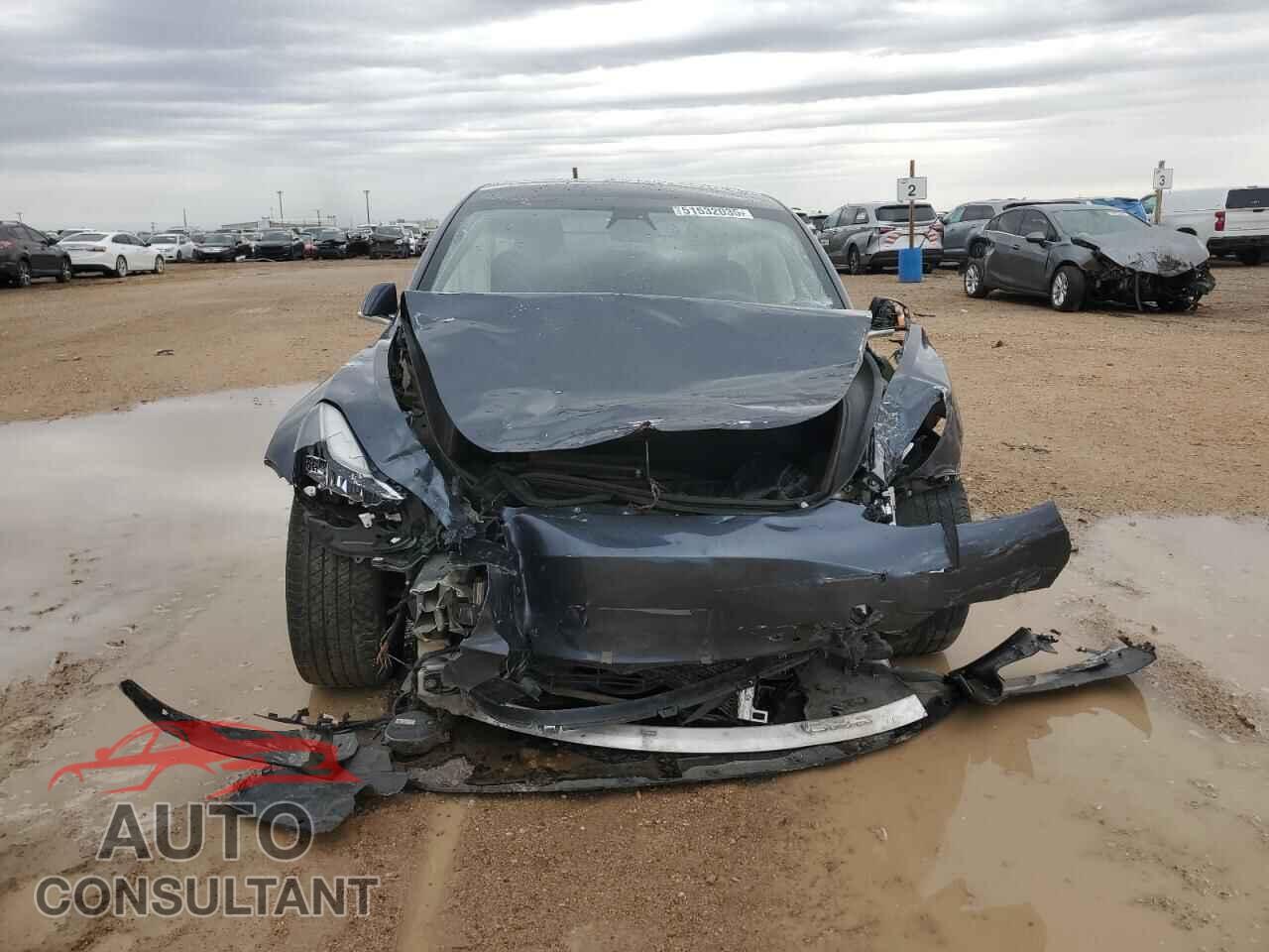TESLA MODEL 3 2019 - 5YJ3E1EA1KF436317