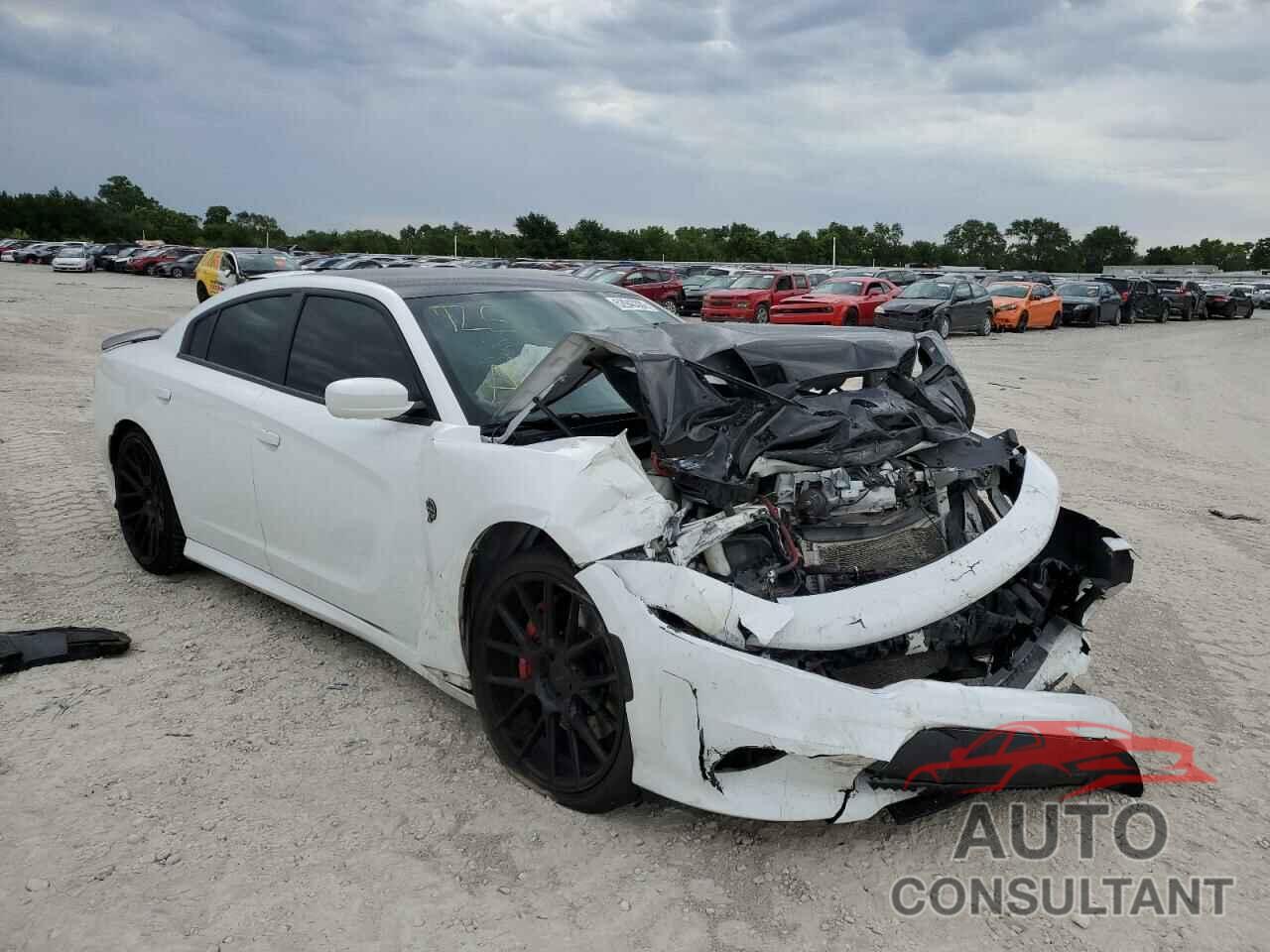 DODGE CHARGER 2016 - 2C3CDXL93GH130417