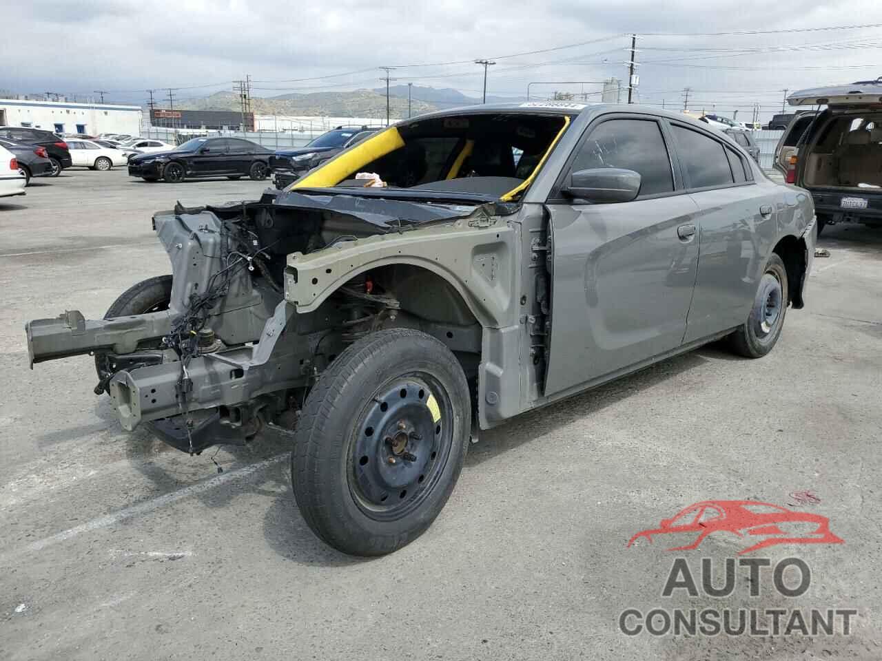 DODGE CHARGER 2019 - 2C3CDXGJ8KH558884