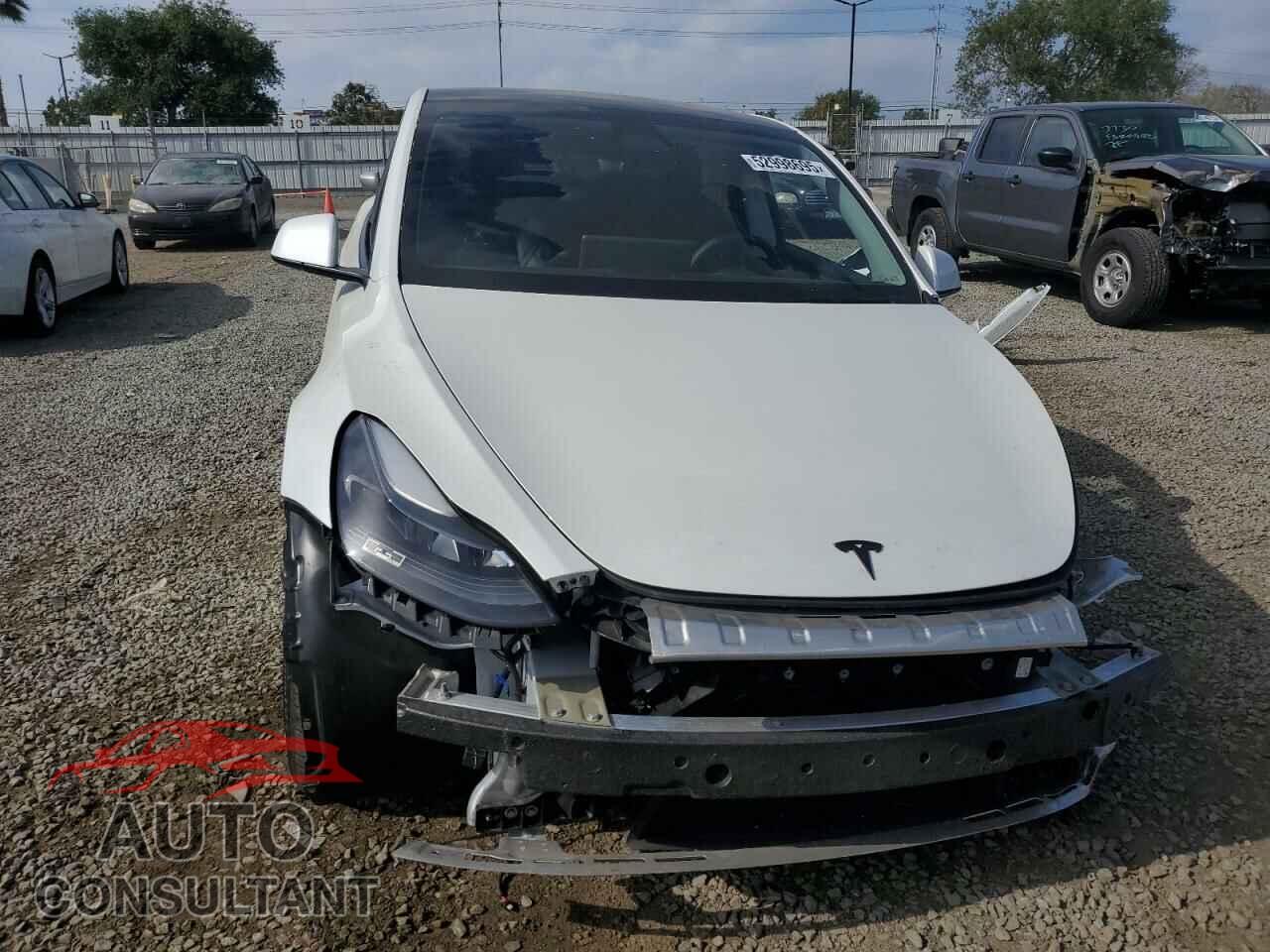 TESLA MODEL Y 2024 - 7SAYGAEE2RF086860