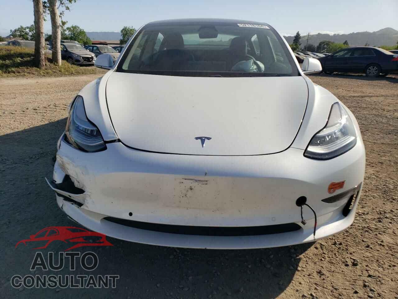 TESLA MODEL 3 2020 - 5YJ3E1EA9LF613438