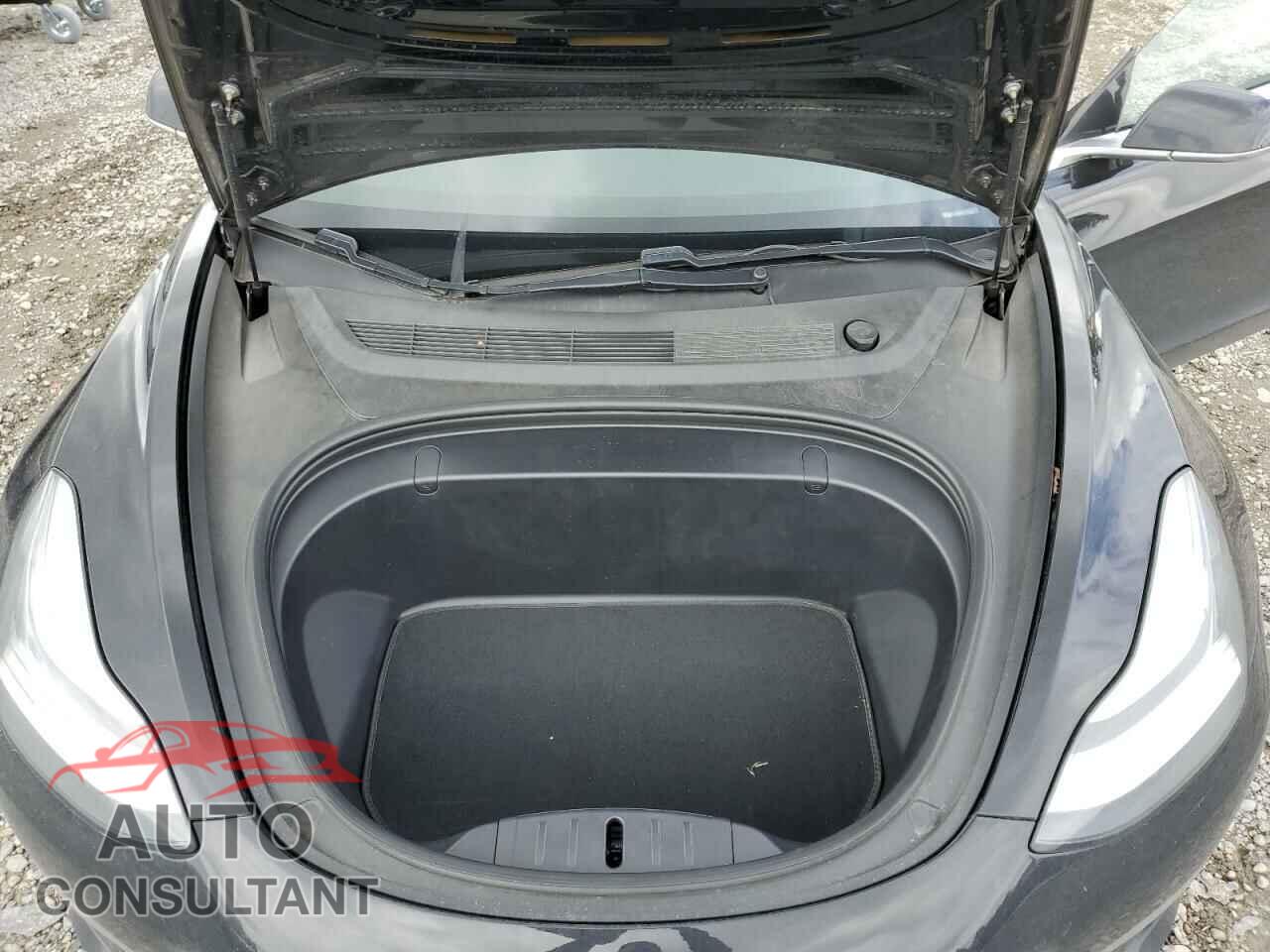 TESLA MODEL 3 2019 - 5YJ3E1EA8KF331063