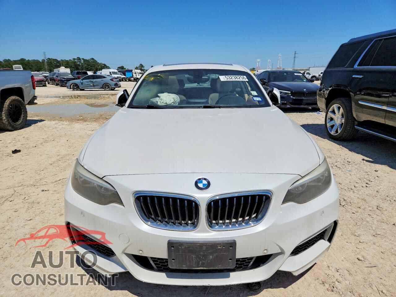 BMW 2 SERIES 2014 - WBA1F5C59EVV99348