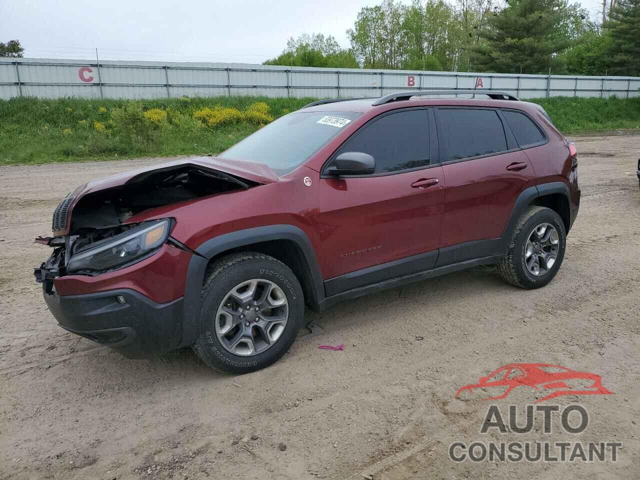 JEEP CHEROKEE 2019 - 1C4PJMBX5KD183369