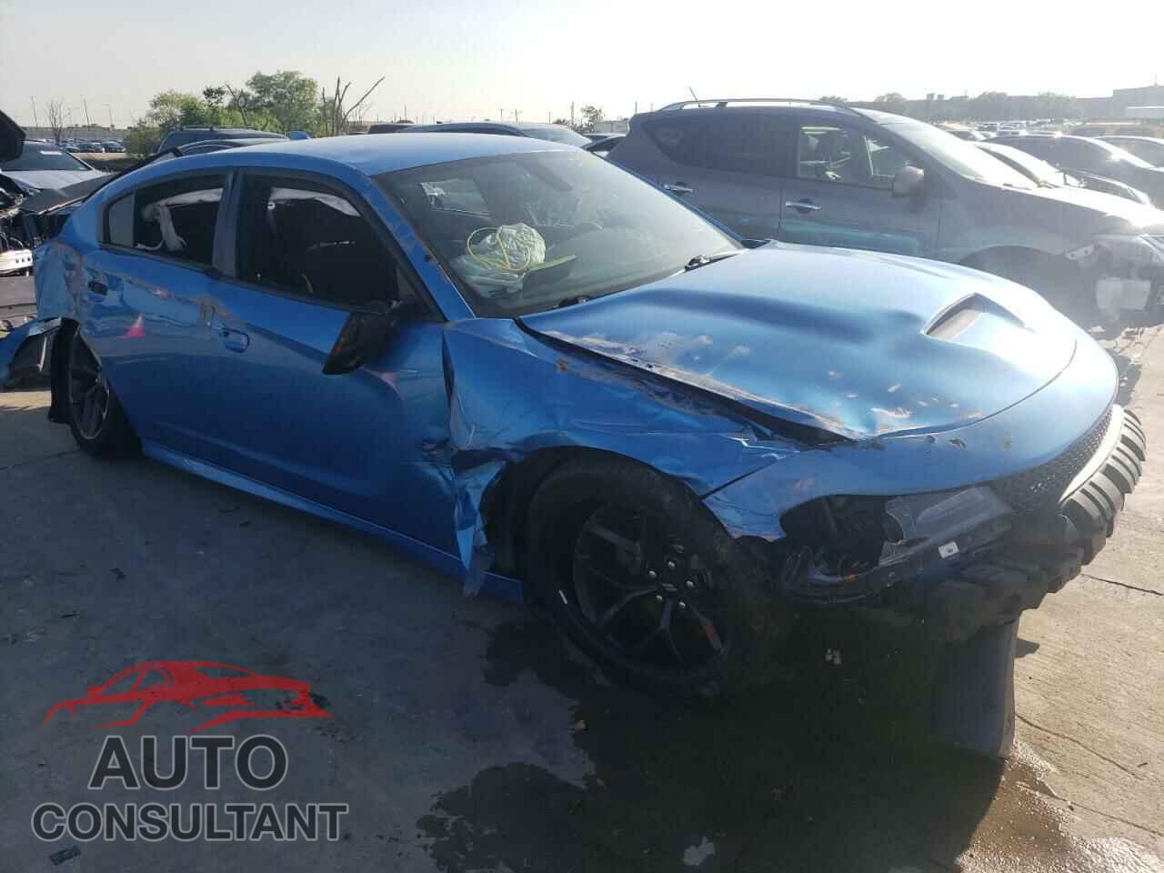 DODGE CHARGER 2019 - 2C3CDXCTXKH662929