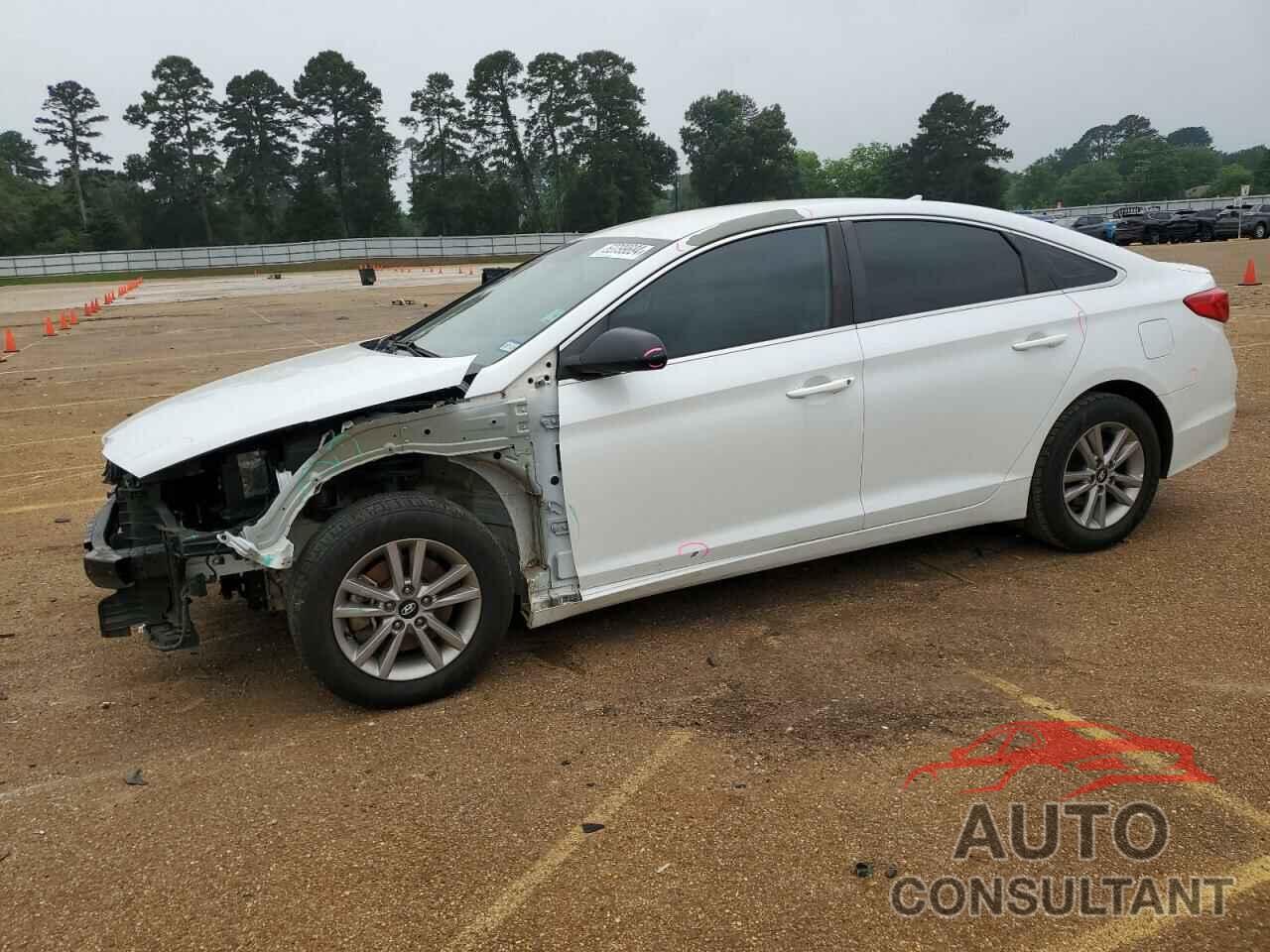 HYUNDAI SONATA 2016 - 5NPE24AF8GH260220